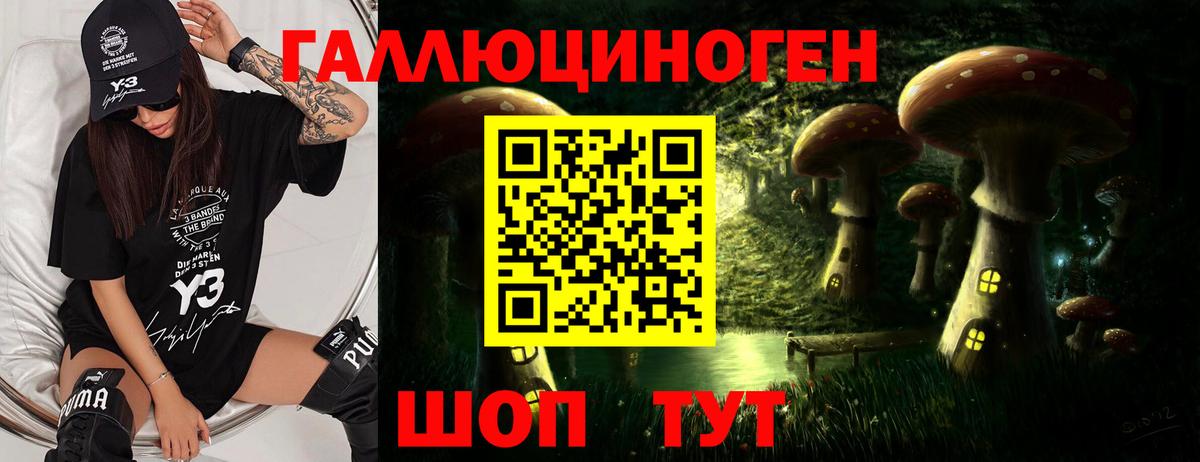 Майский  Псилоцибиновые грибы Cubensis  Вход с VPN 